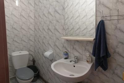 Apartament cu 3 camere decomandat, mobilat în Gorjului - 8