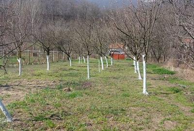 Teren de 1000 mp, în Central - 2