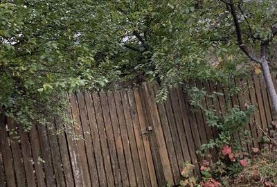 Teren de 500 mp, în Poienarii Burchii - 3