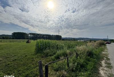 Teren de 7500 mp, în Mihăești - 5