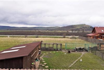 Casa Zona Deosebita In Mijlocul Naturii - 3