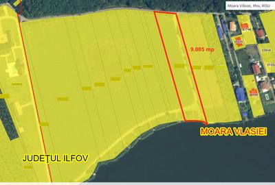 Teren de vânzare cu acces direct la lac, între pădure și apă – Moara Vlăsiei - 2