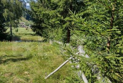 Teren de 3000 mp, în Central - 4