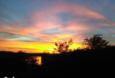 Casă cu 3 camere cu Teren 596 Mp în Iepurești - 15