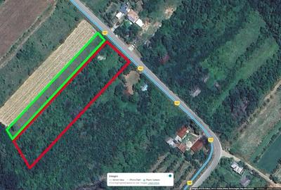 Teren Construcții intravilan de 6626 mp, în Cocu - 1
