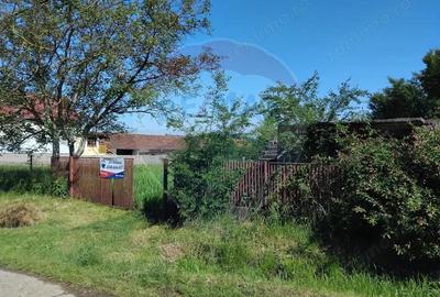 Teren 1,151mp Viile Apei / Strada Ungureasca - 1