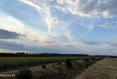 Tamasi, langa padure, 12.824 mp, deschidere 45 ml, teren cu potential! - 6