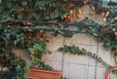 Casă cu 5 camere în Panduri - 3