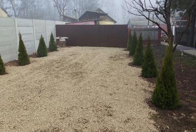 Casă cu 3 camere cu Teren 1400 Mp în Movila Miresii - 4