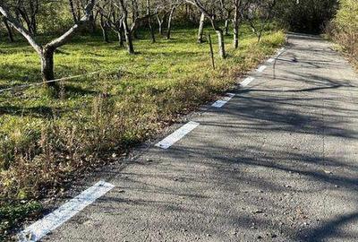 Teren de 3300 mp, în Coșbuc - 5