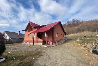 Casa, Valea Mare, Stefanesti, 65000 euro - 2