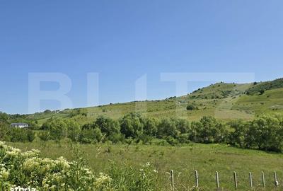 Teren de 1100 mp, în Ciurila