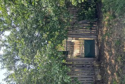 Casa de vanzare - 10