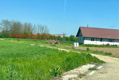 Teren de 4400 mp, în Grădinari - 5