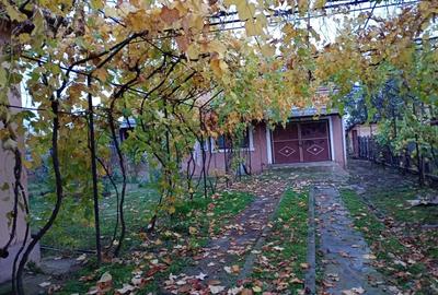 Casă cu 2 camere cu Teren 3000 Mp în Dobra - 5