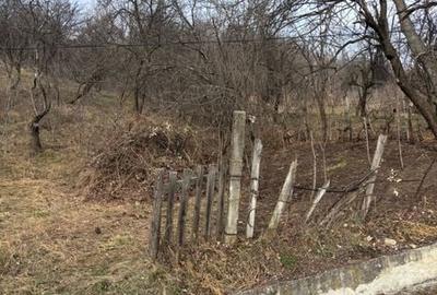 Teren de 1800 mp, în Central - 3