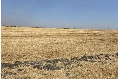 Teren extravilan Zimnicea cota parte 1/6 ID: R2688418 - 8