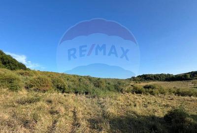 Teren cu parau | 50,000 mp | zona Caianu-Vama | la lizi... - 25