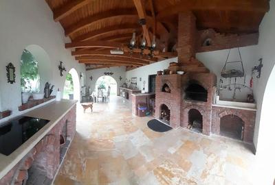 Domeniu  in Prahova- probabil una dintre cele mai frumoase reședințe - 10