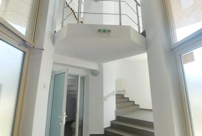 Spațiu comercial, de 360 mp, în Ultimul leu - 2