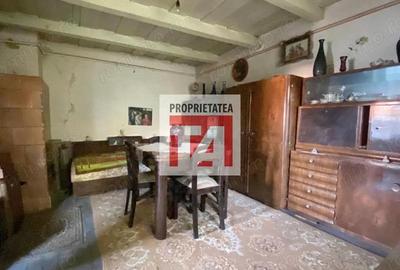 Casă cu Teren 1175 Mp în Griviței - 3