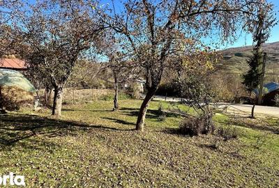 Teren de 4044 mp, în Vișinești - 2
