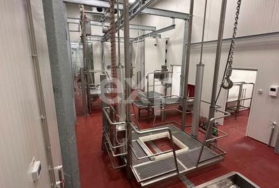 Teren de 105000 mp, în Singureni - 12