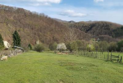 Teren de 8674 mp, în Călugăreni - 2