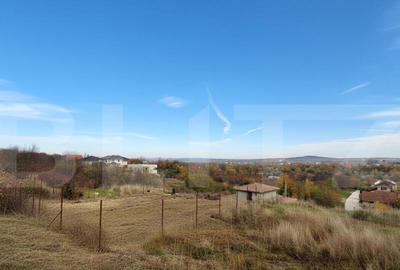 Teren cu o panorama spectaculoasa, 1 hectar, Podgoria - 6