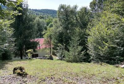 Casă cu 5 camere în Racovița - 2