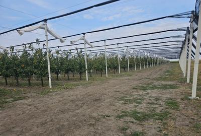 Proprietate specială, de 100,000 mp, în Exterior Vest - 3