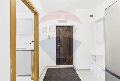 Apartament cu 2 camere semidecomandat, mobilat în Tineretului - 15