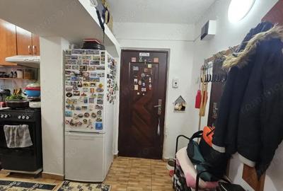 Apartament cu 2 camere semidecomandat în Bejan - 9