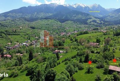 Teren de 1000 mp, în Bran - 6