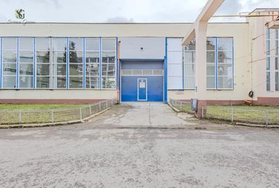 Hala indrustriala recent renovata - 16