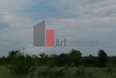 Teren Buftea cu iesire la lac - 13