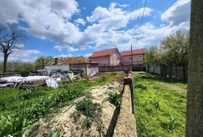 Teren de 975 mp, în Cernica - 12