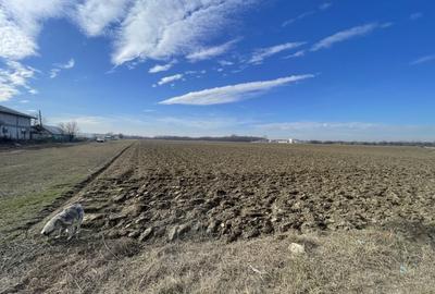 Domnesti, Teghes, teren in suprafata de 21278mp, deschidere 41ml, gaz si curent. - 6