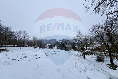 Casă cu 2 camere cu Teren 4887 Mp în Dăbâca - 7