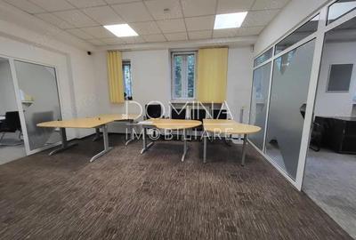 Inchiriere spa?iu parter ultracentral vad pietonal excelent, zona Victoria - 3