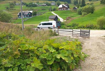 Inchiriez vila, 50 ari de teren, grajd, pastravarie, gradina cu pomi fructiferi - 1