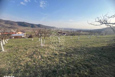 Teren de 3100 mp, în Nimigea - 6