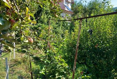 Casă cu 7 camere cu Teren 2200 Mp în Cerașu - 7