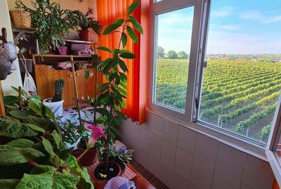 Apartament cu 2 camere decomandat în Central - 4