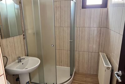 Apartament cu 3 camere decomandat, mobilat în Vasile Aaron - 8