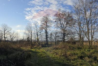 Teren  de vanzare in Fratautii Noi / Strada Dealului - 20