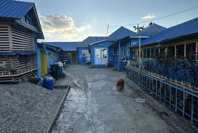 Casă cu 4 camere cu Teren 5000 Mp în Scărișoara - 6