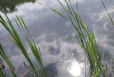 Spațiu comercial, în Central - 8