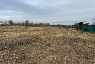 Teren Construcții intravilan de 1319 mp, în Giroc - 5