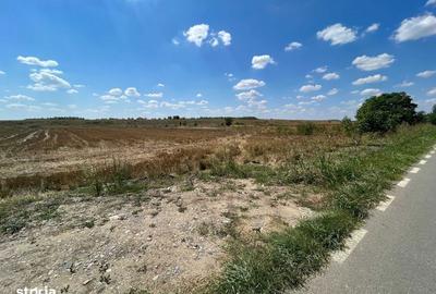 Teren de 5000 mp, în Clinceni - 4